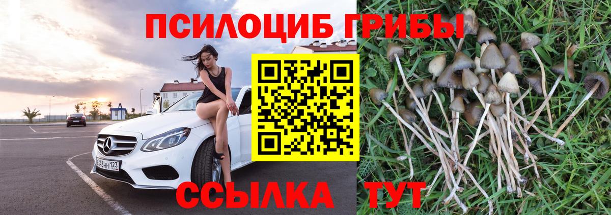 Галлюциногенные грибы ЛСД Тольятти